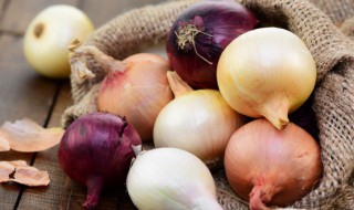洋葱怎么种植步骤 洋葱怎么种植步骤图