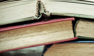 裾怎么读（裾怎么读音）