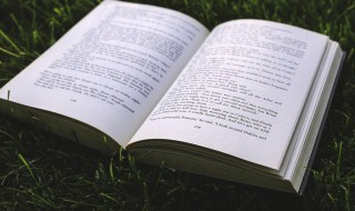 泷怎么读 泷怎么读什么意思