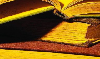 荫怎么读（荫怎么读写）