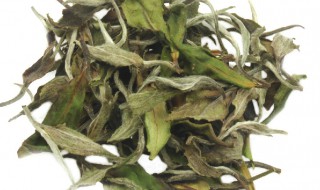 贡眉是什么茶 紧压贡眉是什么茶