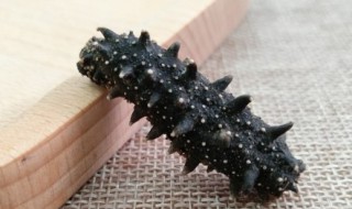 海参的涨发方法 海参的涨发方法及出成率