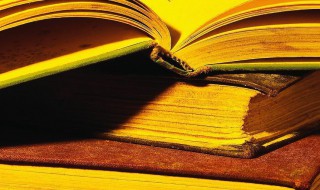 生子痴了官事的意思（生子痴了官事官事未易了也了事正作痴复为快耳）