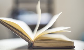 狮象搏兔皆用全力的意思 狮子搏兔亦用全力是什么生肖