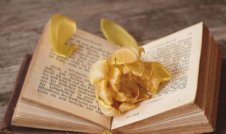 耕者让畔行者让路的意思 此国中,耕者让田畔,行者让路