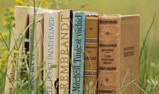 智取威虎山的意思（智取威虎山的意思和道理）