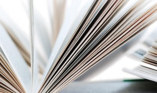 人非尧舜谁能尽善的意思（人非尧舜谁能尽善的意思解释）