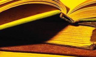 山中无老虎猴子称大王的意思（山中无老虎猴子称大王的意思是啥）