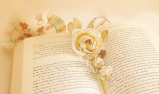 上不在天下不着地的意思（上不着天下不着地是成语吗）