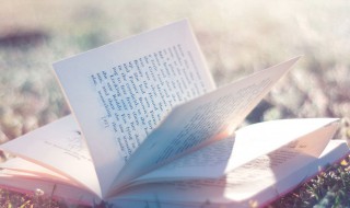 长袖善舞多钱善贾的意思（长袖善舞多钱善贾的意思是什么）