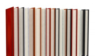 毫末不札将寻斧柯的意思 两叶不剪将寻斧柯是什么意思