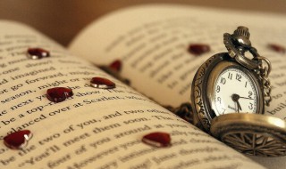 及第后寄长安故人的意思 及第后寄长安故人