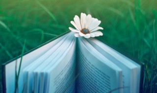 妈妈生日鲜花卡片留言 妈妈生日鲜花卡片留言怎么写