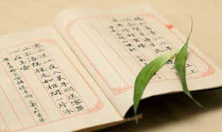 朊怎么读 玉米朊怎么读