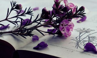 枨怎么读音（枨怎么读音在人名）