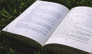 腘怎么读（腘怎么读出来）