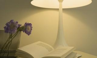 鲐怎么读（鲅怎么读）