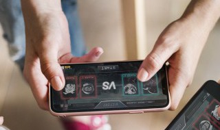 饥荒食人花种子怎么用（饥荒食人花种子怎么用视频）