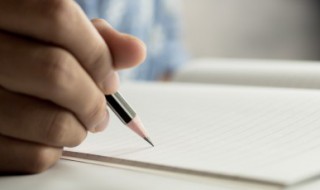 什么叶子像什么（什么叶子像什么二年级）