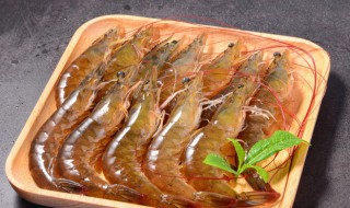 明虾是什么虾 海捕明虾是什么虾