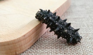 人造海参是什么做的（人造海参是什么做的视频）