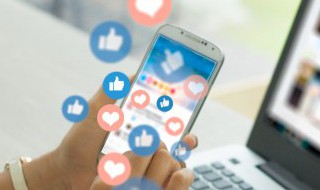 迅雷种子怎么用 迅雷种子怎么用其他软件下载