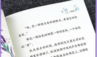 10个暖人心的治愈微小说 暖心治愈系小说