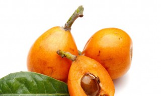 枇杷常温保存还是冷藏保存 枇杷常温保存还是冷藏保存好