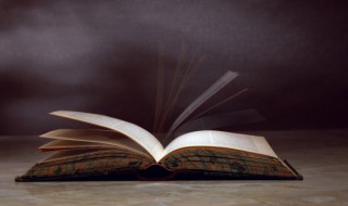 眉目传情是什么意思 眉目传情是什么意思啊