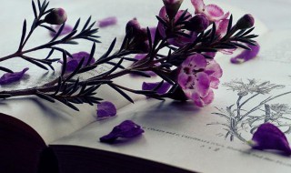 暗中作乐是什么意思 美中作乐什么意思