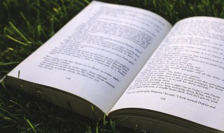 天道宁论是什么意思（天道 责必论道）