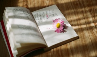 价廉物美的意思（物廉价美的意思是什么?）