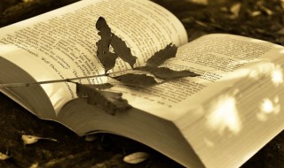 灿然一新的意思（灿然一新的意思及典故）