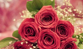 什么花的花语是爱情 哪些花的花语是爱情