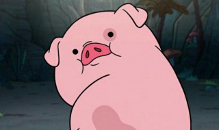 梦见猪向自己扑来是什么征兆（梦见猪向自己扑来是什么征兆周公解梦）