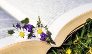 意急心忙是什么意思（意急心忙是什么意思啊）