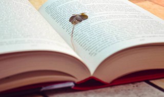 凤翥龙蟠是什么意思（凤翥龙蟠指什么生肖）