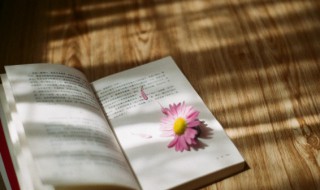 淤怎么读 濯怎么读