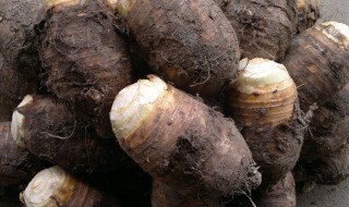 芋头里面绿了还能吃吗(芋头里面绿了还能吃吗百度)