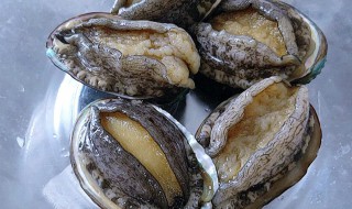 做鲍鱼的简单方法 做鲍鱼的简单方法视频