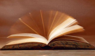 心有灵犀一点通是什么意思（身无彩蝶双飞翼心有灵犀一点通是什么意思）