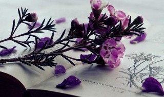 无千待万是什么意思 无千无万什么意思