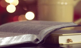 截趾适履是什么意思 削趾适屦的意思