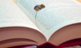 屏障什么意思 八尺屏障什么意思