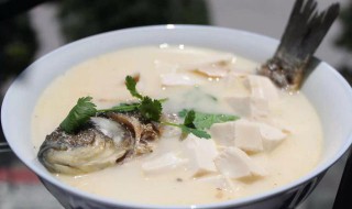 鲫鱼豆腐汤的简单做法（鲫鱼豆腐汤的简单做法视频）