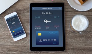 苹果手机键盘皮肤怎么设置（苹果手机键盘皮肤怎么设置照片）