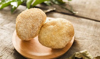 猴头菇的吃法做法大全 猴头菇的吃法做法大全图解