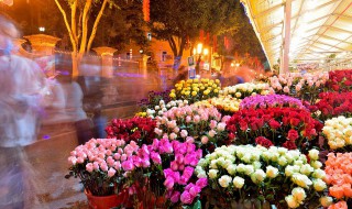 长寿花的夏季养殖方法 长寿花的夏季养殖方法有哪些