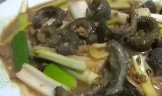 葱烧海参的正宗做法（葱烧海参的正宗做法的视频）