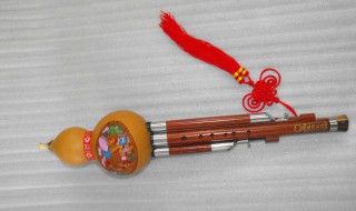 怎么买葫芦丝（葫芦丝怎么选）